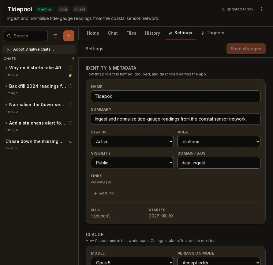 A project's Settings tab, where agent behaviour set instance-wide in the config file can be overridden for this one project